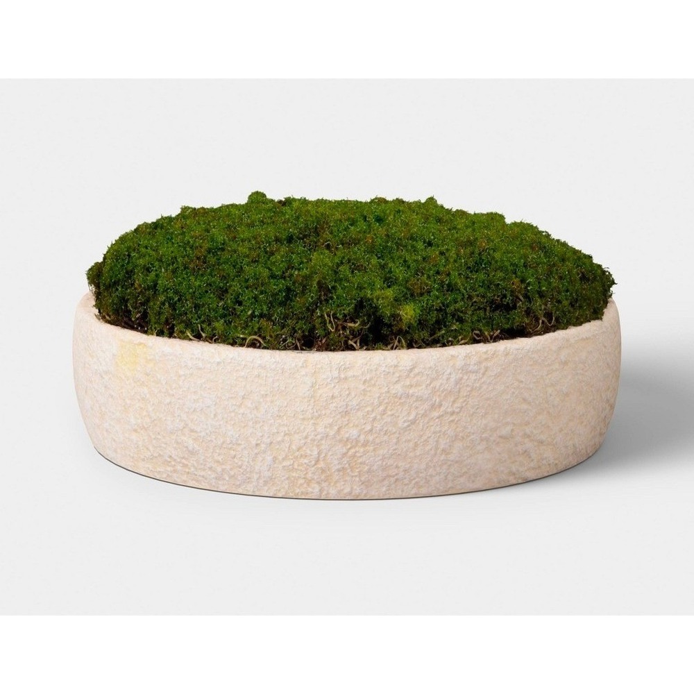 Threshold Small moss bowl NEW faux moss